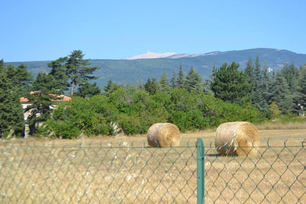 Les Fadas Du Ventoux Sault-de-Vaucluse Buitenkant foto